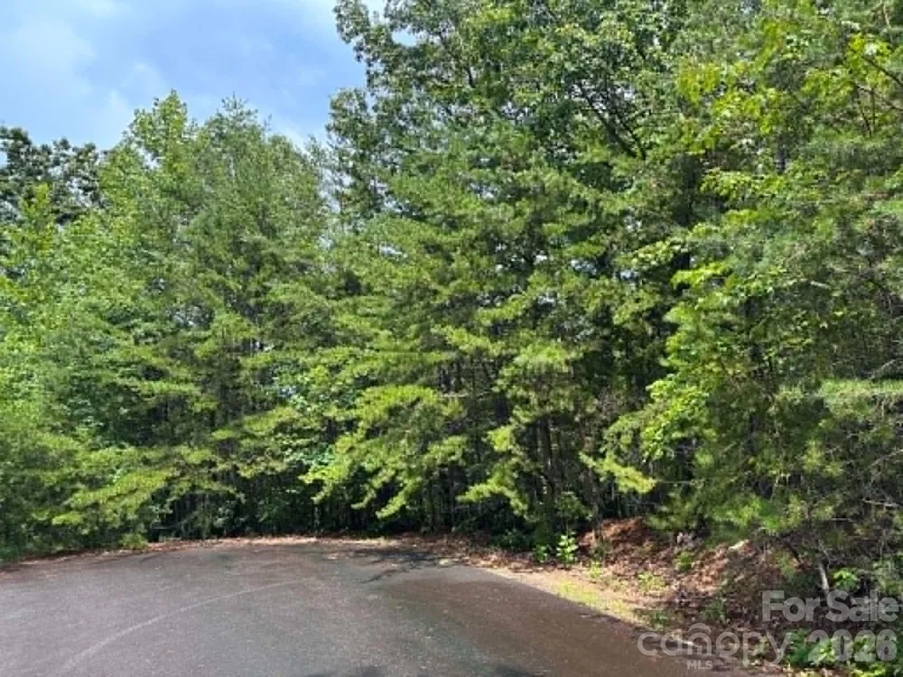 TBD Fire Tower Road Bostic, NC 28018
