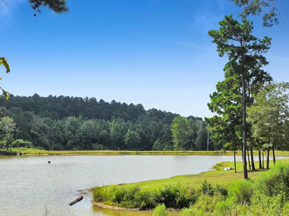 10024 Cr 207 Centerville, TX 75833