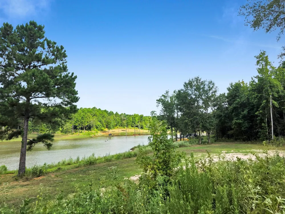 10024 Cr 207 Centerville, TX 75833