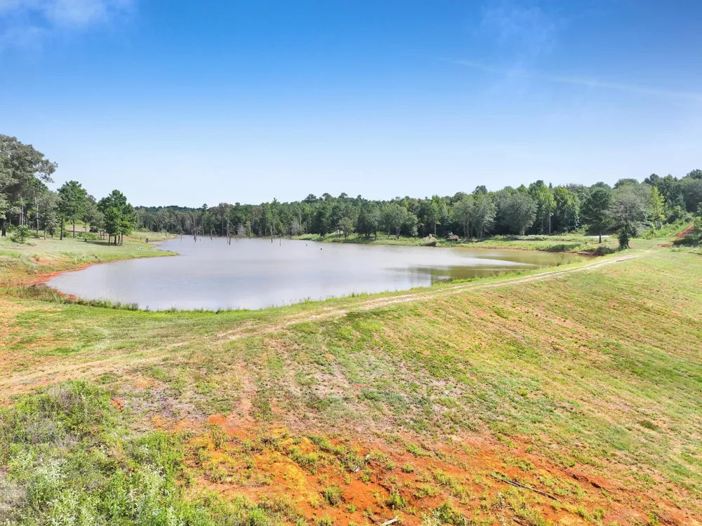 10024 Cr 207 Centerville, TX 75833