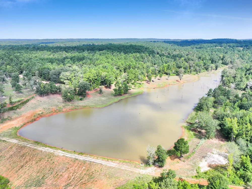 10024 Cr 207 Centerville, TX 75833