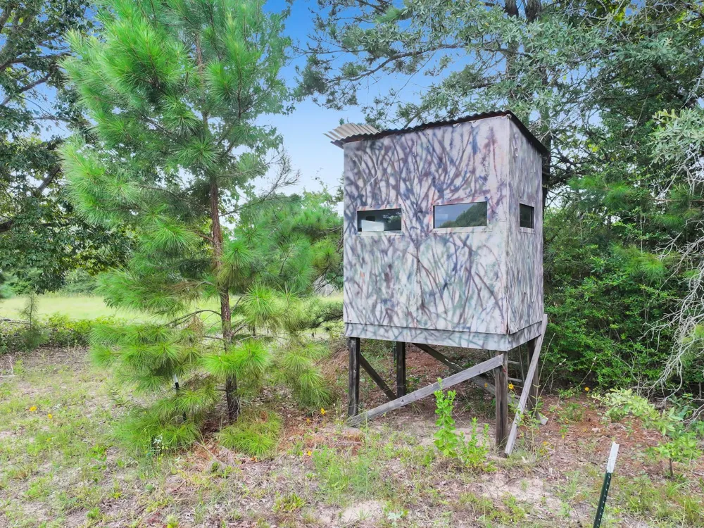 10024 Cr 207 Centerville, TX 75833