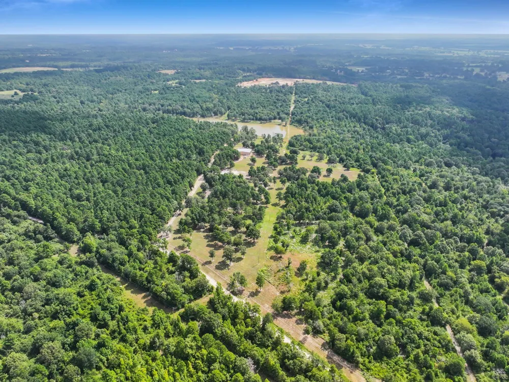 10024 Cr 207 Centerville, TX 75833
