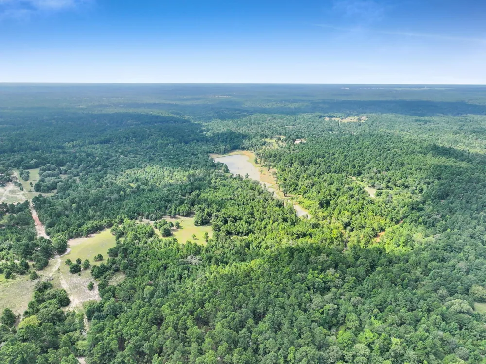 10024 Cr 207 Centerville, TX 75833