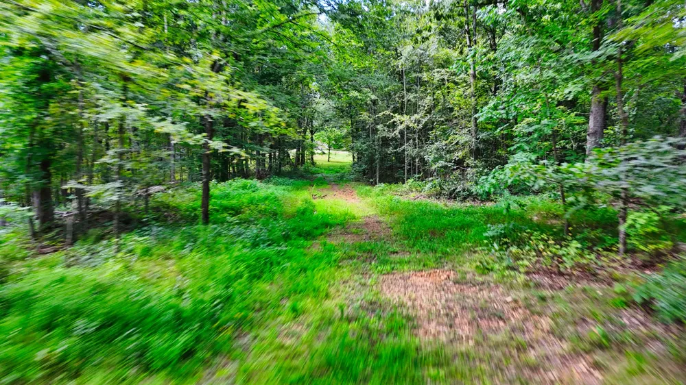5 Hickory Ln Waverly, TN 37185