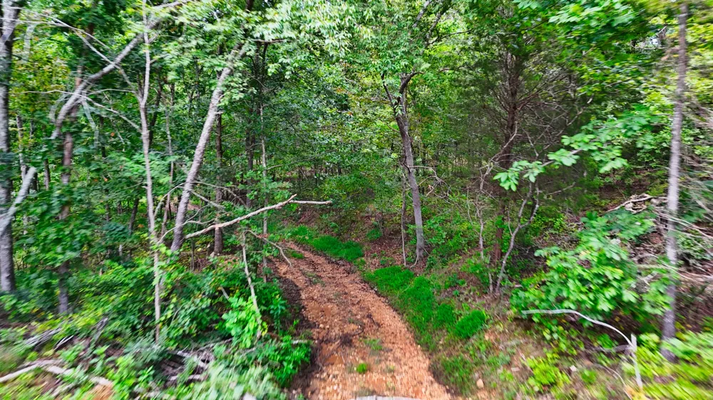 5 Hickory Ln Waverly, TN 37185