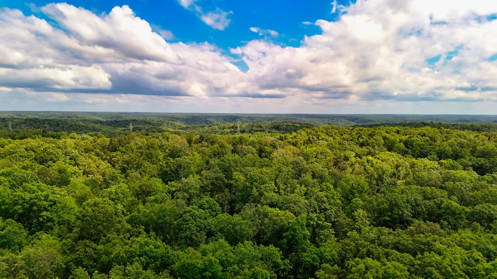 5 Hickory Ln Waverly, TN 37185