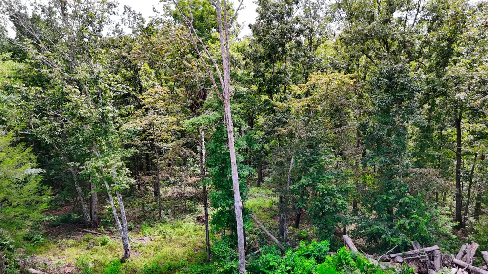 5 Hickory Ln Waverly, TN 37185