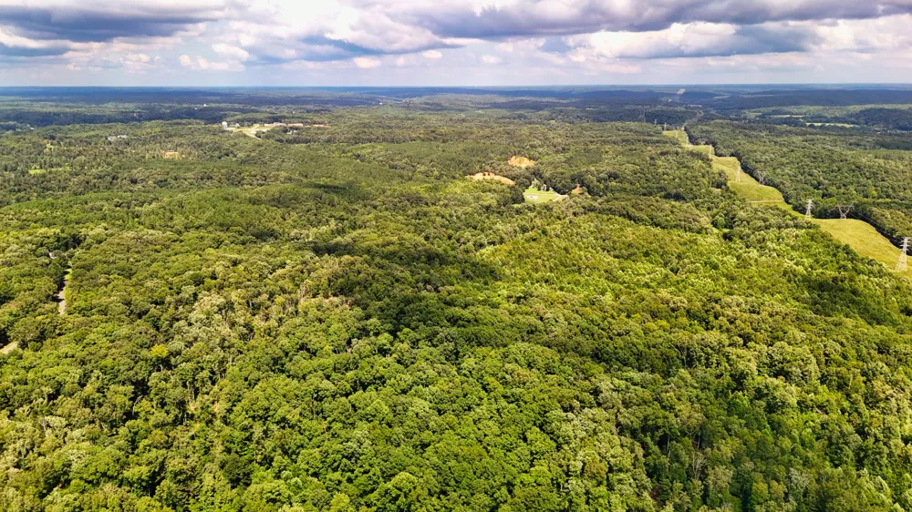 5 Hickory Ln Waverly, TN 37185