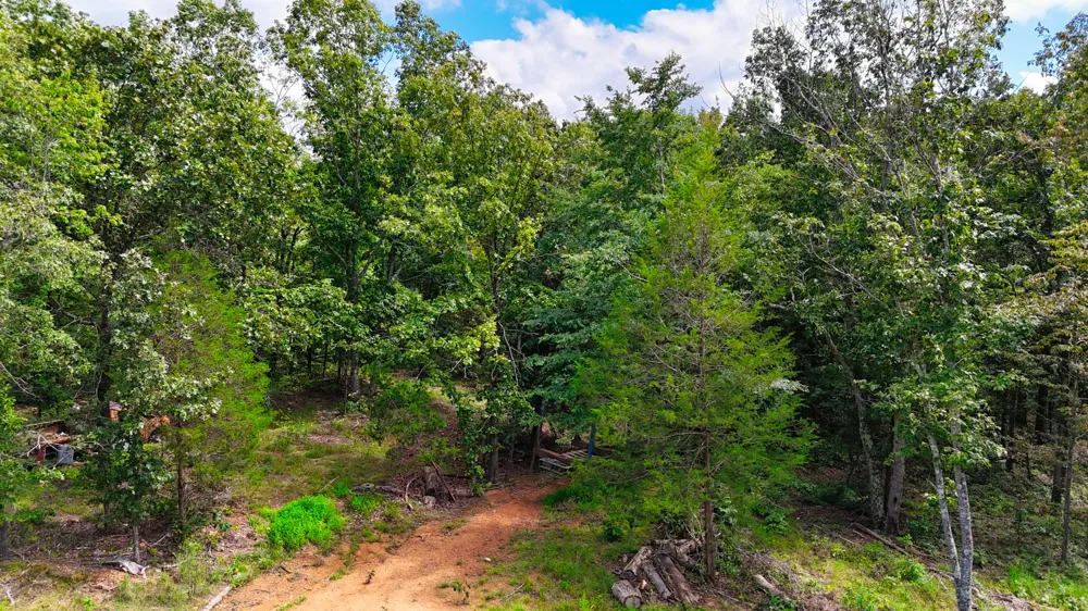5 Hickory Ln Waverly, TN 37185