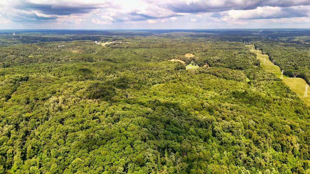 5 Hickory Ln Waverly, TN 37185