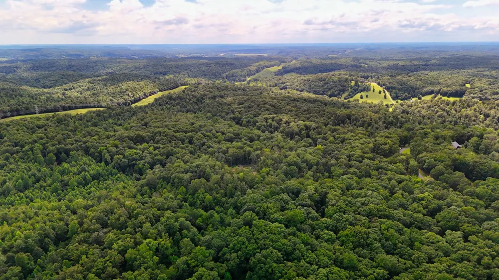 5 Hickory Ln Waverly, TN 37185