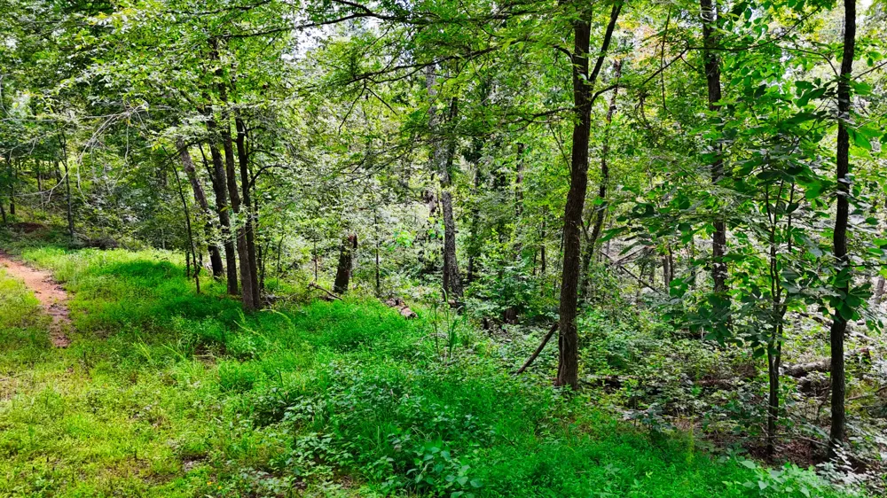 5 Hickory Ln Waverly, TN 37185