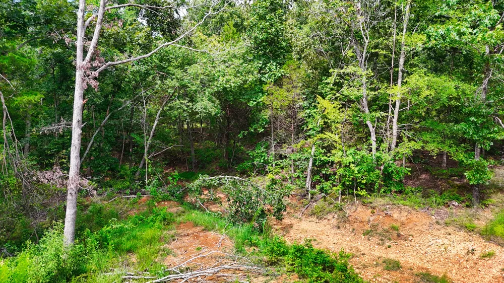 5 Hickory Ln Waverly, TN 37185