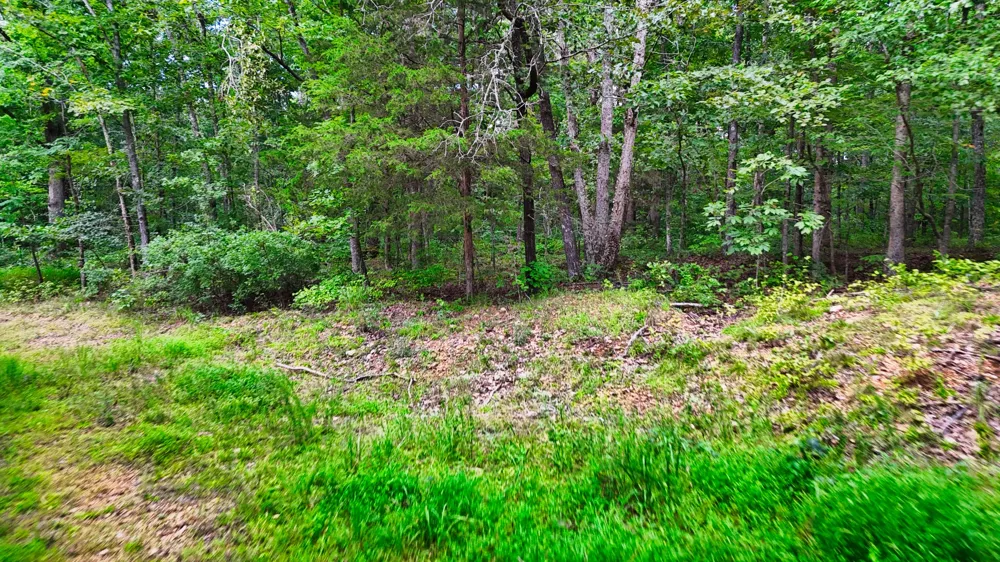 5 Hickory Ln Waverly, TN 37185