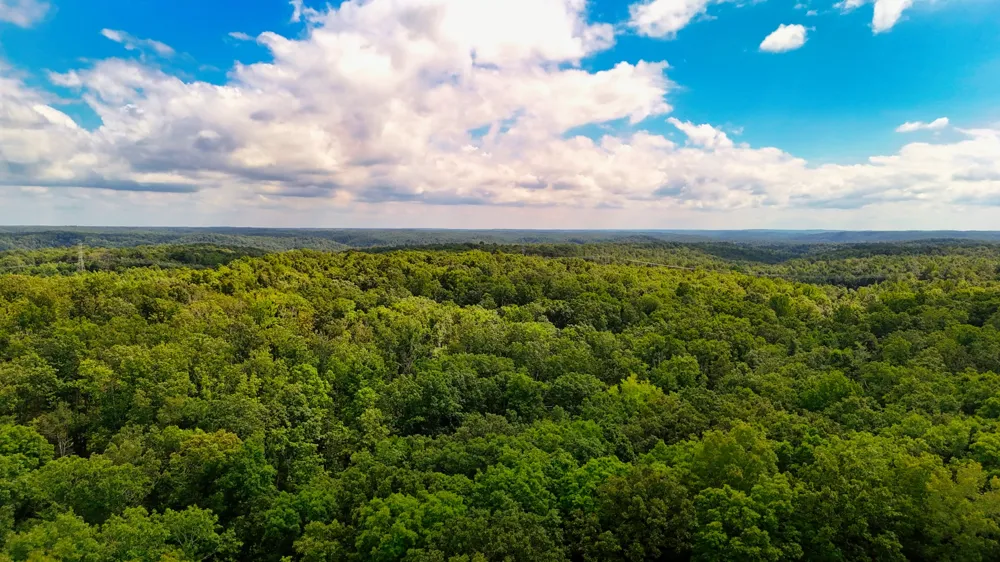 5 Hickory Ln Waverly, TN 37185