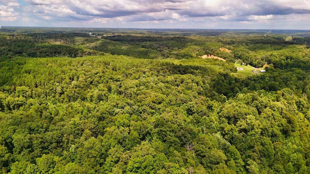 5 Hickory Ln Waverly, TN 37185