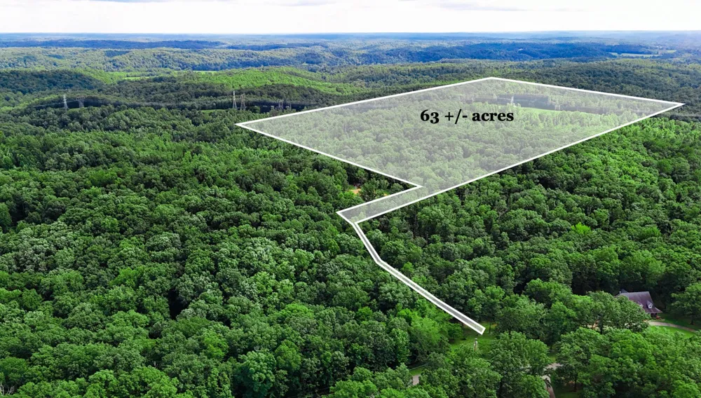 5 Hickory Ln Waverly, TN 37185