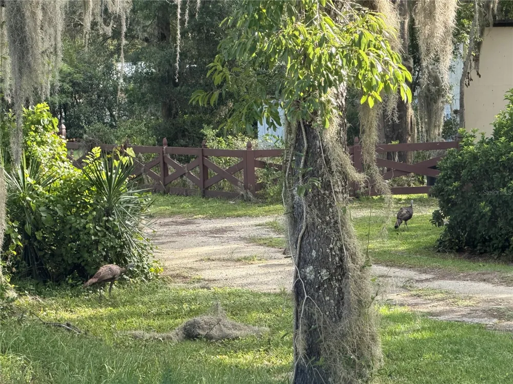 CROSS COUNTRY BOULEVARD Altoona, FL 32702