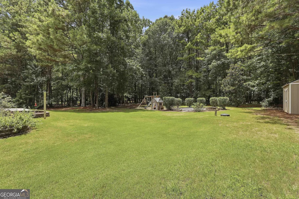 311 Ivy Vale CT Tyrone, GA 30290