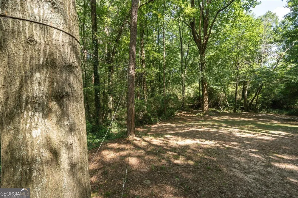1517 Grove Brook LN Watkinsville, GA 30677