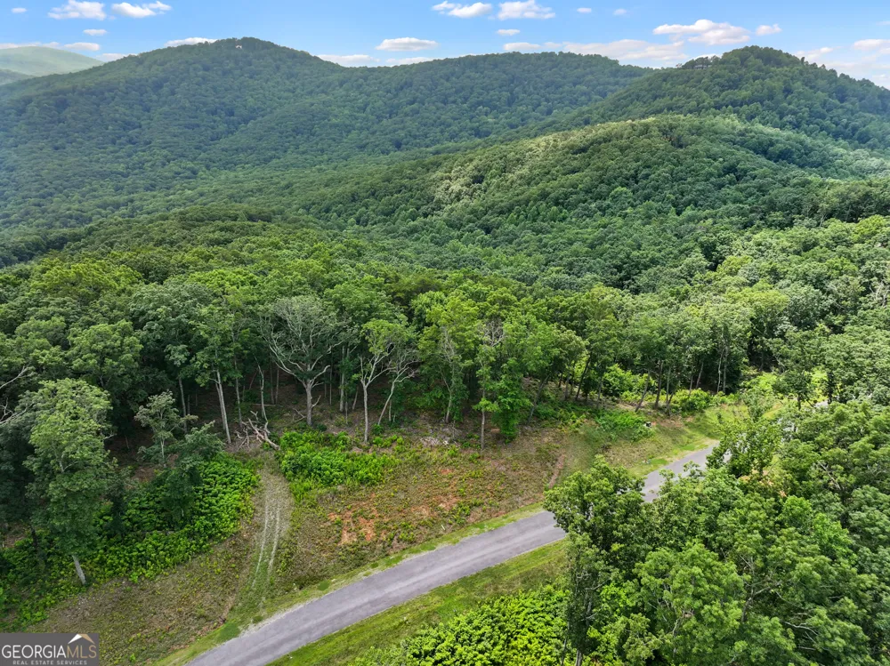 LOT 53 High Summit DR Talking Rock, GA 30175