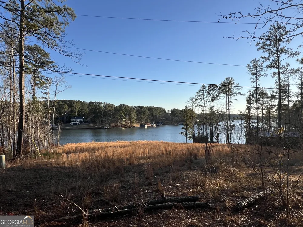 LOT 4 Sugar Bear RD Sparta, GA 31087