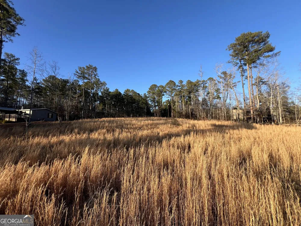 LOT 4 Sugar Bear RD Sparta, GA 31087