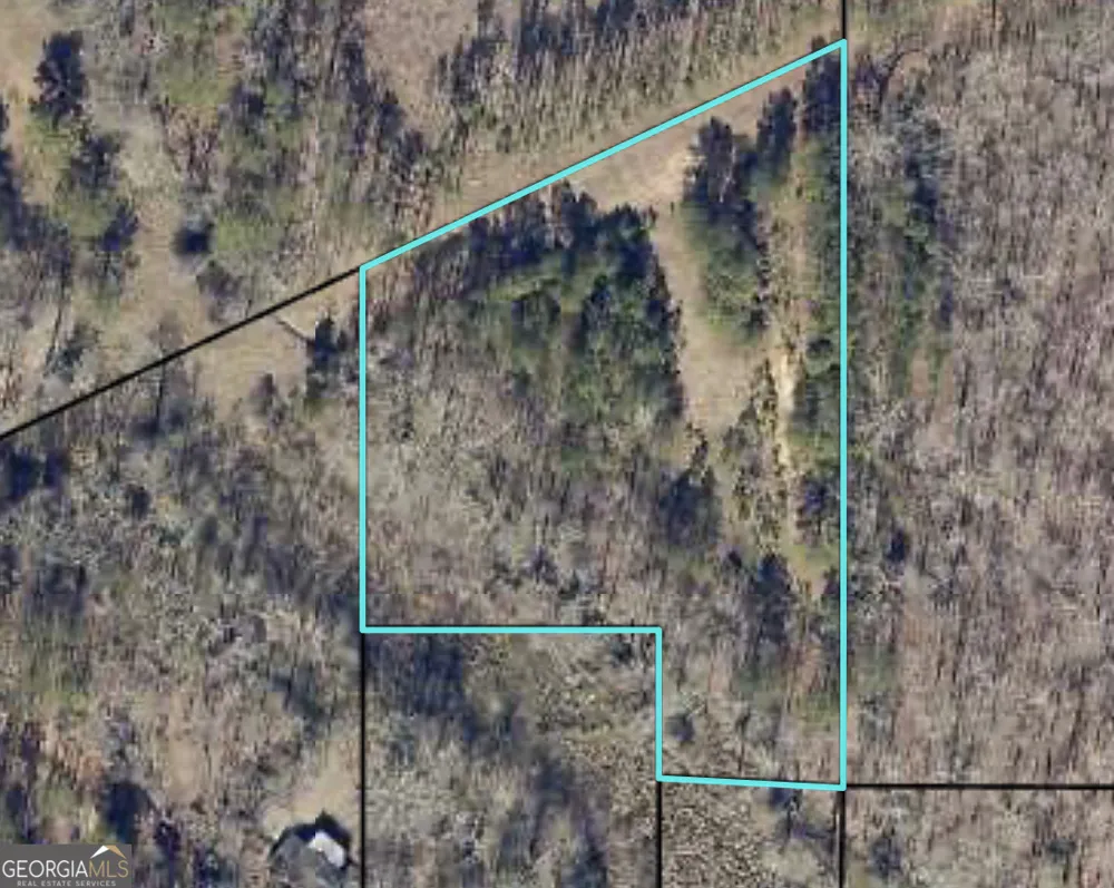 0 Jones RD Milner, GA 30257