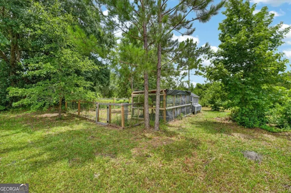 5366 Moody Bridge RD Ludowici, GA 31316