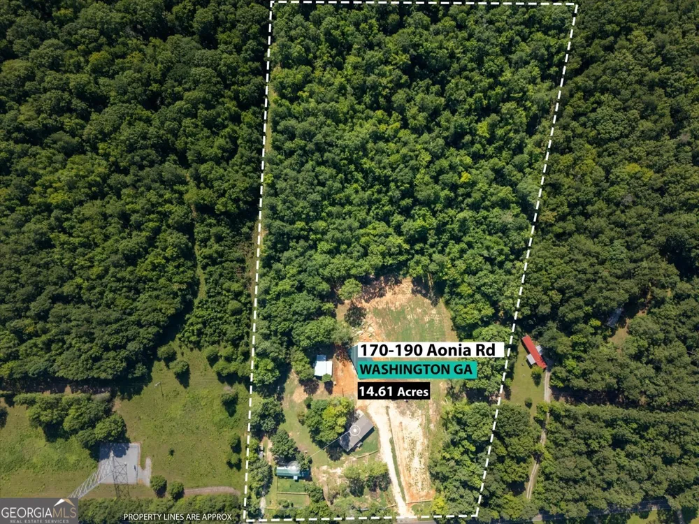 170 Aonia RD Washington, GA 30673