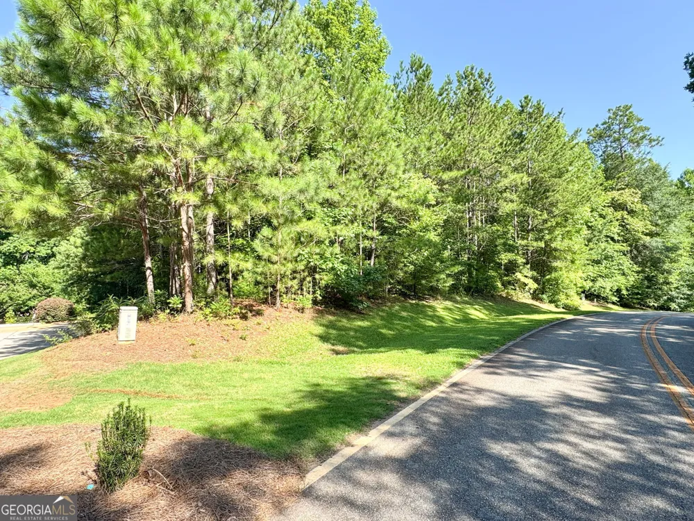 104 Ridge Way Forsyth, GA 31029