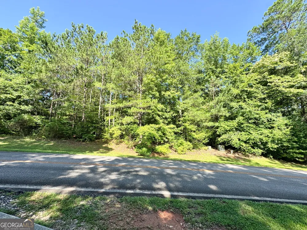 104 Ridge Way Forsyth, GA 31029
