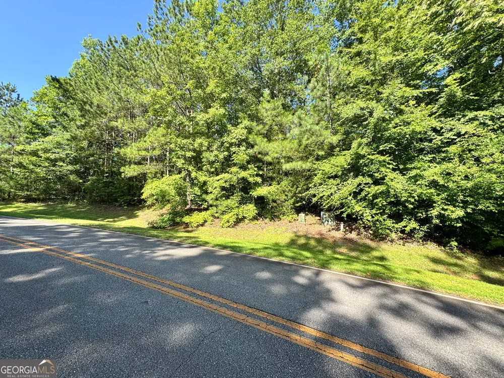 104 Ridge Way Forsyth, GA 31029