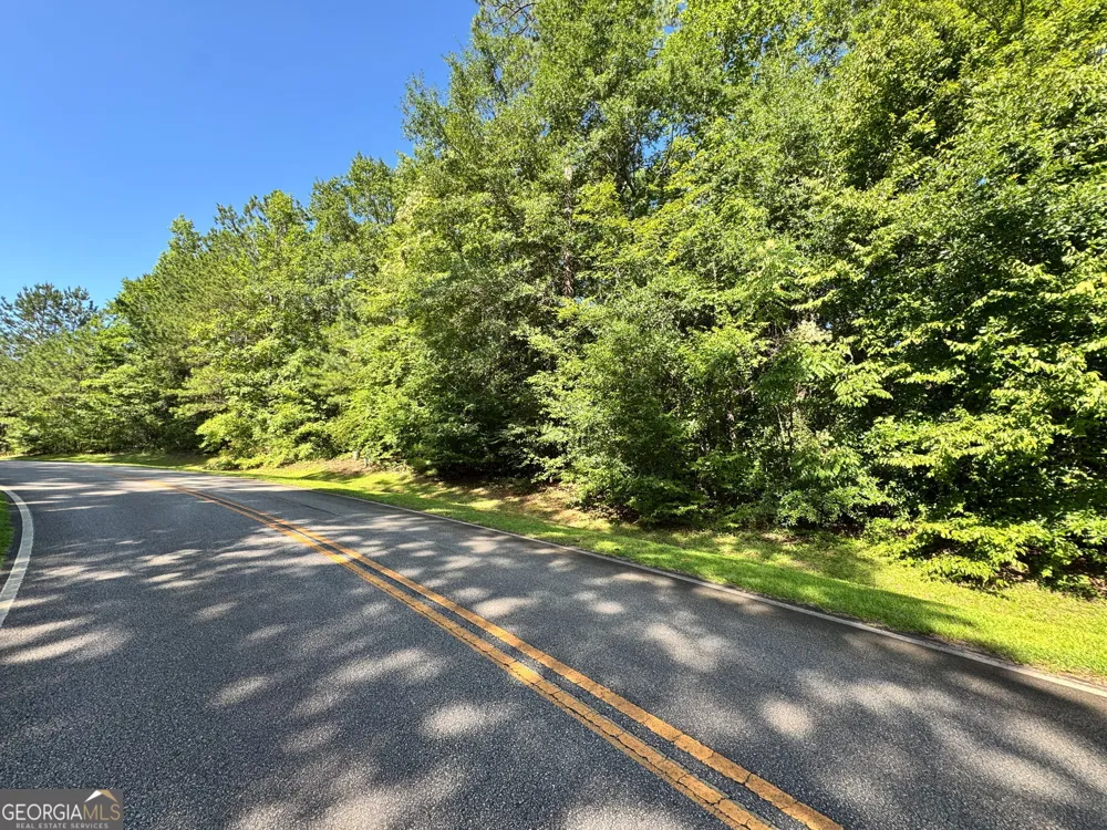 104 Ridge Way Forsyth, GA 31029