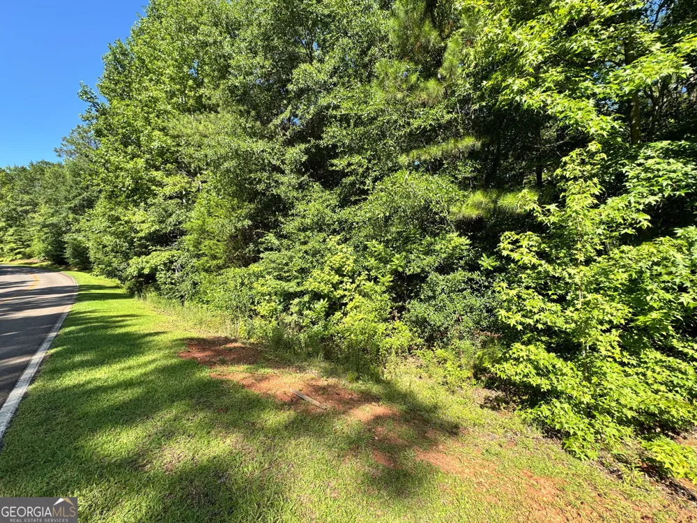 104 Ridge Way Forsyth, GA 31029