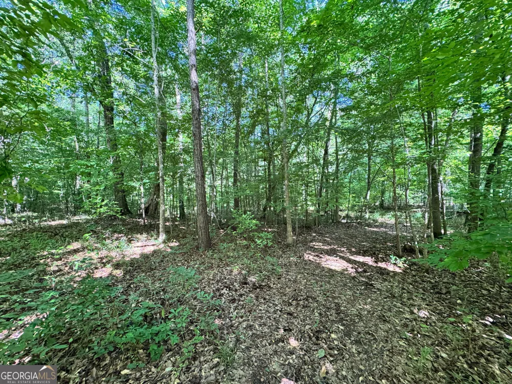 104 Ridge Way Forsyth, GA 31029