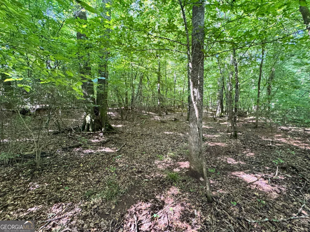 104 Ridge Way Forsyth, GA 31029