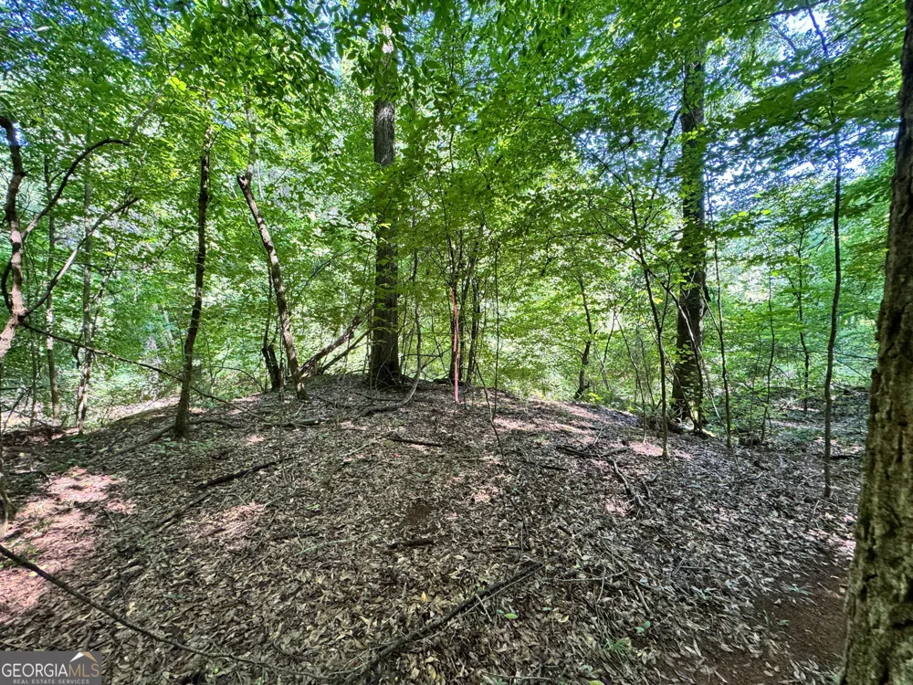 104 Ridge Way Forsyth, GA 31029