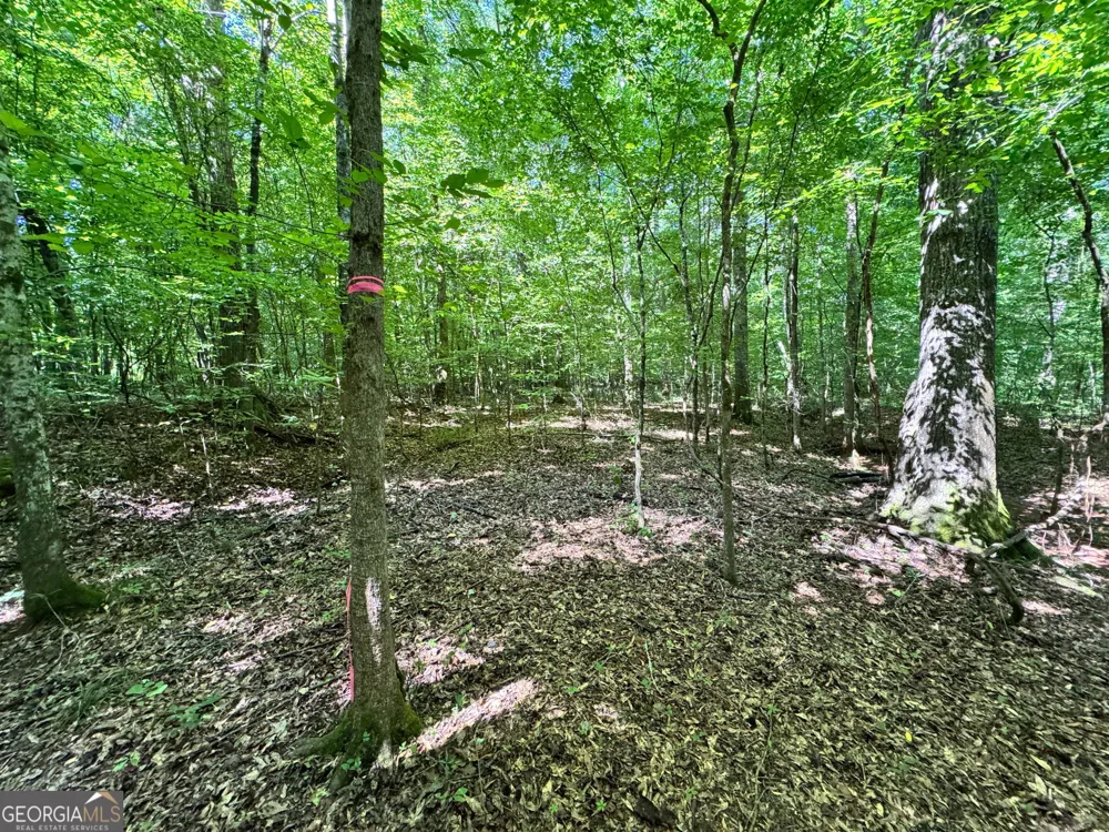 104 Ridge Way Forsyth, GA 31029