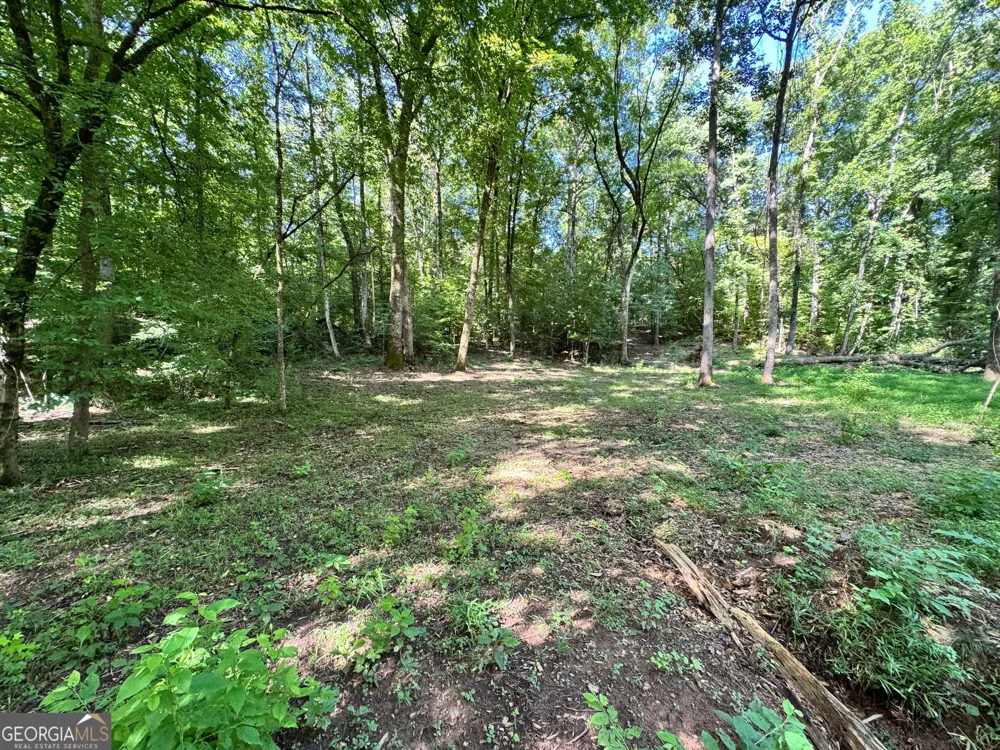 104 Ridge Way Forsyth, GA 31029