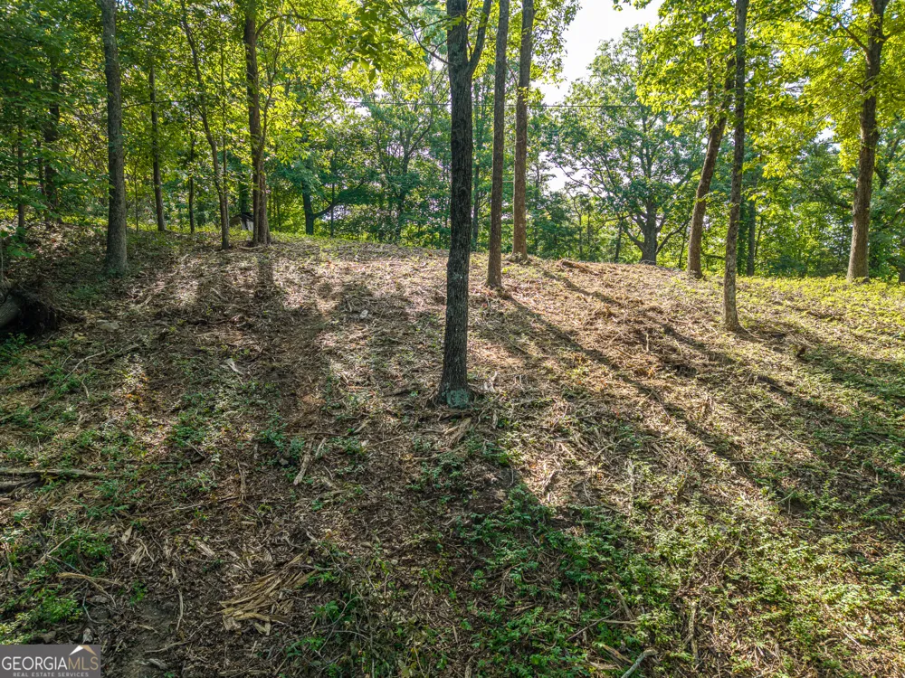 294 Adair DR NE Ranger, GA 30734