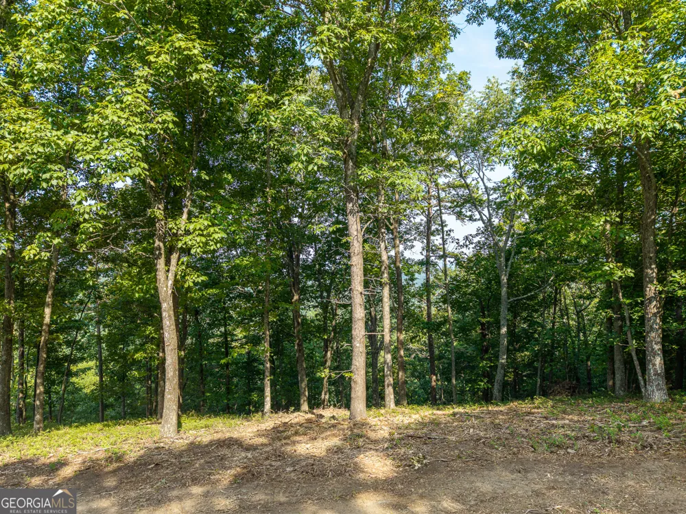 294 Adair DR NE Ranger, GA 30734