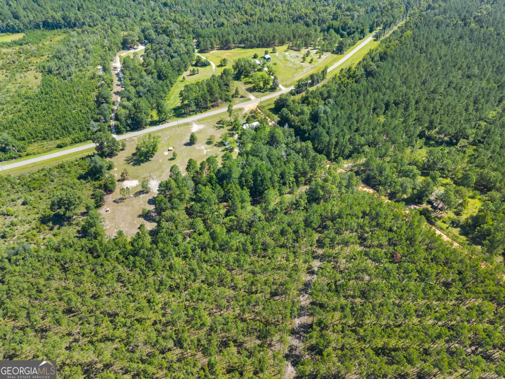 1494 Hiltonia RD Millen, GA 30442