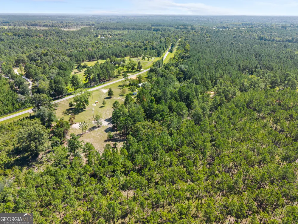 1494 Hiltonia RD Millen, GA 30442