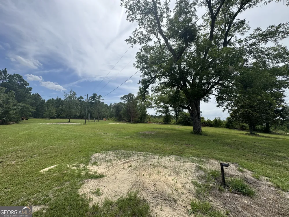 1494 Hiltonia RD Millen, GA 30442