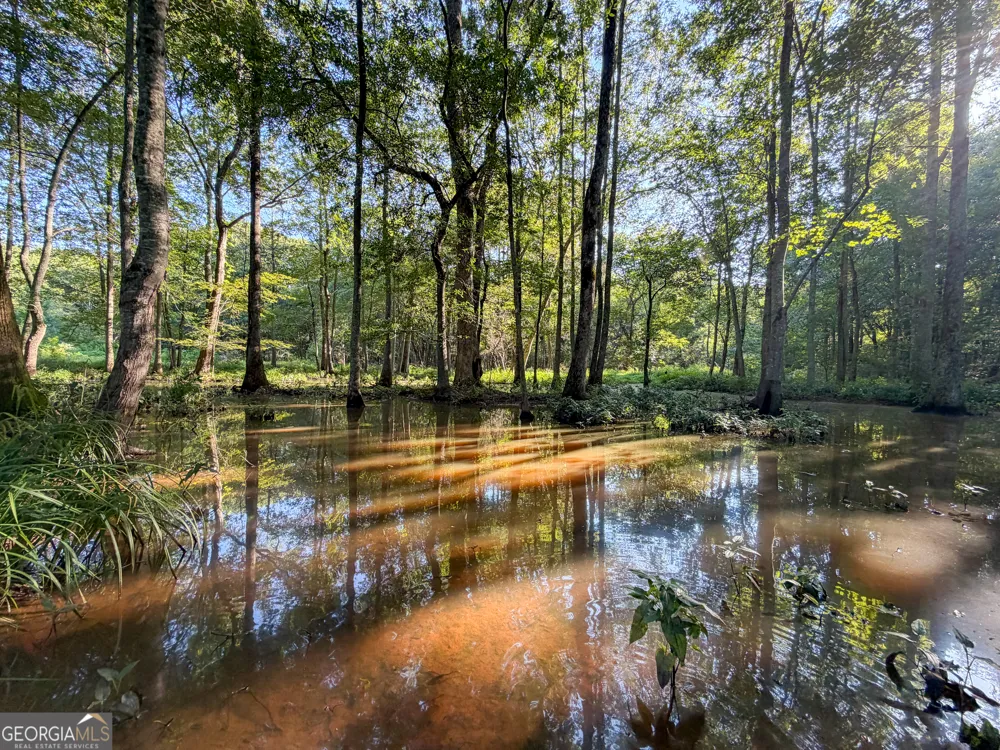 0 Hester Town RD Monroe, GA 30655