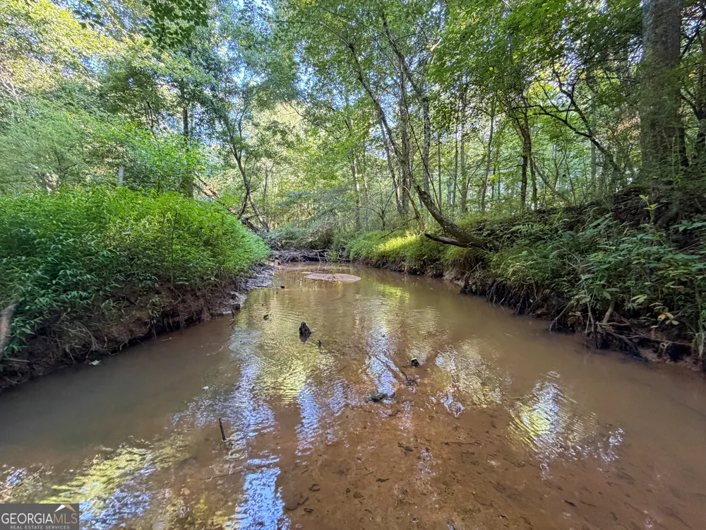 0 Hester Town RD Monroe, GA 30655