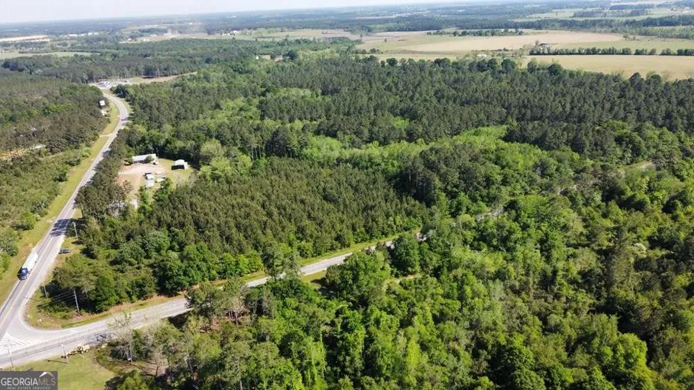 0 Irwinville Hwy & Ben Hill DR Fitzgerald, GA 31750