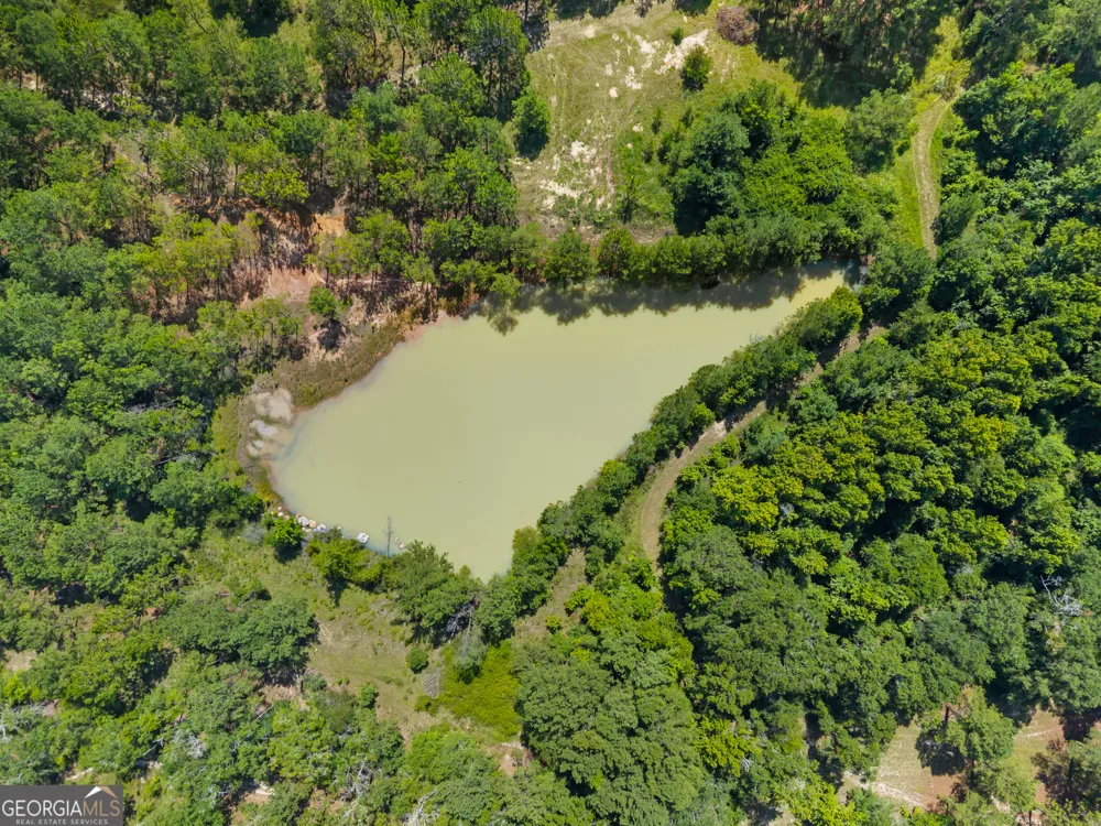 1214 Ga Highway 21 E Millen, GA 30442